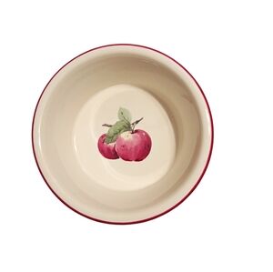 Pfaltzgraff "Delicious" pattern Bowl